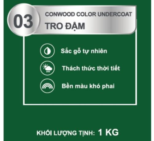 CONWOOD COLOR UNDERCOAT 03 TRO ĐẬM 1KG